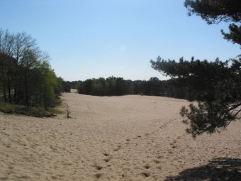 Ecological Holiday Home With Wood Stove Surrounded By Nature