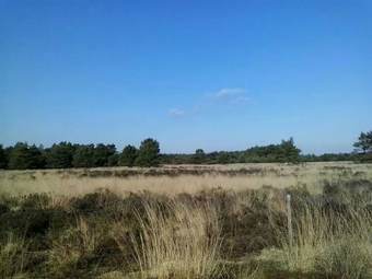 Single-storey House With Garden, In A Natural Area