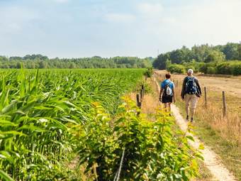 Comfortable Chalet With A Garden, At Nature Reserve
