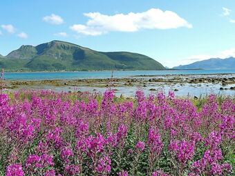 6 Person Holiday Home In Hennes