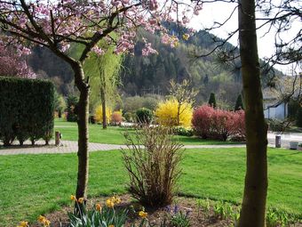 Tidy Holiday Home With Fire Place Close To Malm�dy