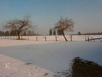 Cozy Cottage In Baugnez With Sauna