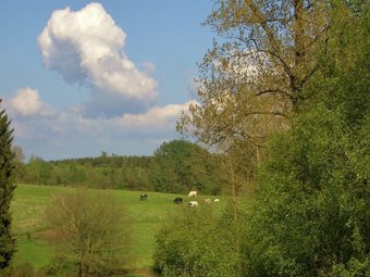 Fort-like Holiday Home In Sart-bertrix, A Drive Away From Luxembourg