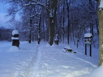 Huge Apartment In Mala Skala Czech Republic Near Ski Area