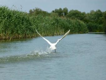 Sat De Vacanta Stiuca Vesela