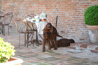 Bed & Breakfast Tenuta Degli Angeli Rossi