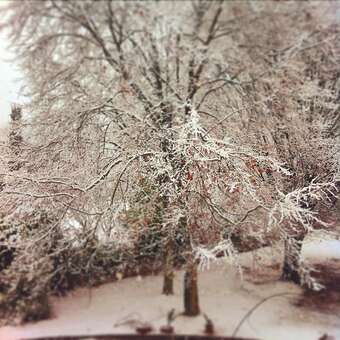 B&B Alla Gazza Ladra