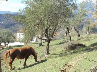 Agroturismo La Masseria Di Antonio E Teresina