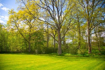 Hotel Ekhagen Kurs Och Konferens