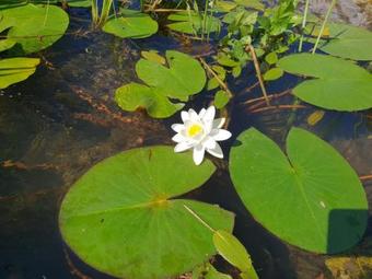 Posada Gosti??e Kimovec