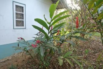 Hostal Baan Thamachart