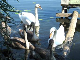 Hostal Usadba Polesie