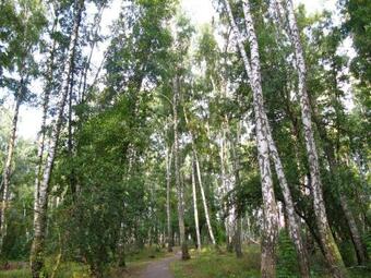 Hotel ?????? �???????????�