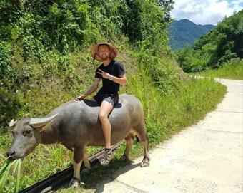 Hotel P�lu�ng Jungle King Homestay