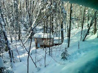 Hauser's Bayfield Cabin
