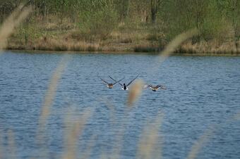 Villa Lodge Des Bruyeres