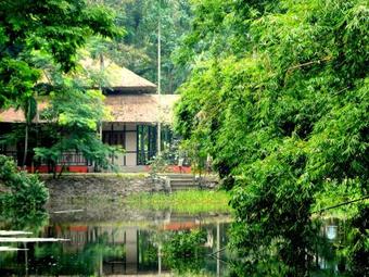 Hotel Infinity Resorts Kaziranga