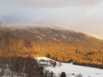 Aparthotel Pension Ferienwohnungen Ludwig
