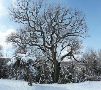 Agroturismo Agriturismo Vallonga