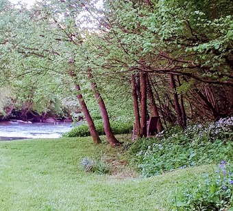 Primrose Cottage B&B