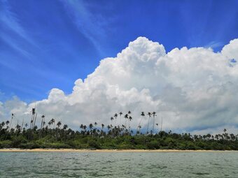 Hotel Tambisan Island Lodge