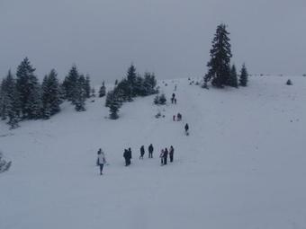 Hostal Pensiunea Meridian