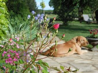 Hotel Auberge de La  Tuilerie