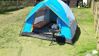 Pacific Buddies - Campsite