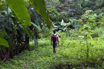 Posada Mamallena Ecolodge
