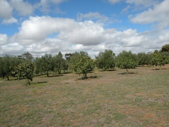 Thalia Getaway Villa