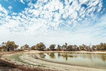 Warrawong On The Darling