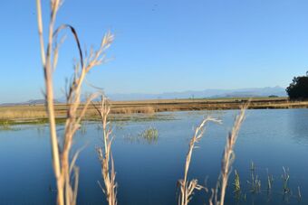 Posada Bingelela Lodge