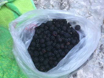 Il Pastore Errante Frasassi