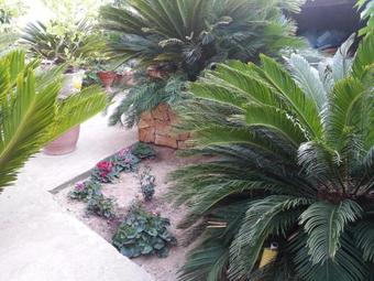 Nella Casa Del Viandante Da "zia Giovanna"