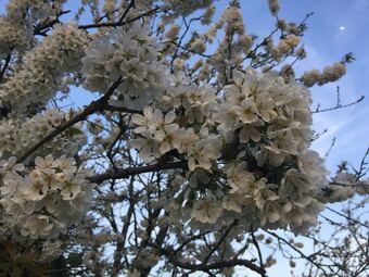Hotel Jolie Halte Normande