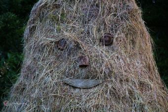 Bed And Breakfast Sorbo