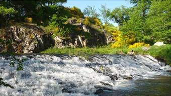 Bed & Breakfast Chambres D'hotes - Le Moulin Berthon�