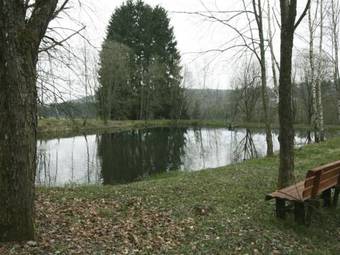 Holiday Home Les Iris Libin