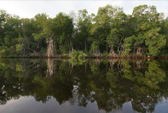 Hotel El Canal Chocohuital