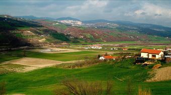 Agroturismo Agriturismo Il Torchio