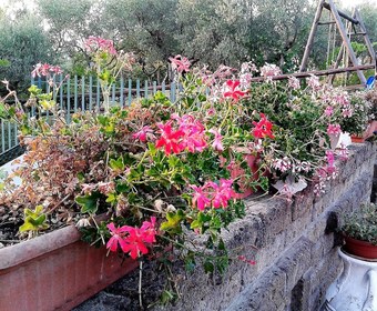 B&B Villa Milena