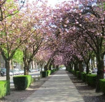 Apartamento Nid Cosy