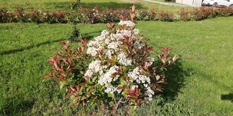 Apartamento Residenza Fabiola A Gubbio