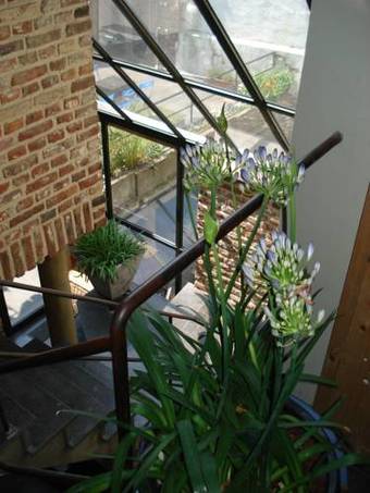 Apartamento De Beek Anno 1410