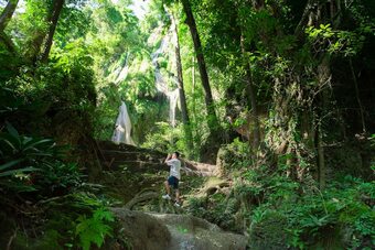 Hotel Luxury Camp@green Jungle Park