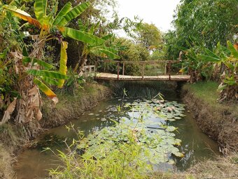 Hotel Mint Bodhivann Jungle Retreat