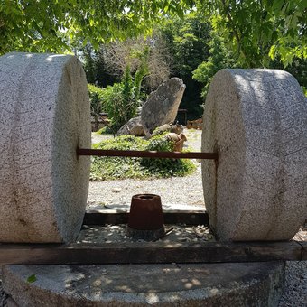 Agroturismo Fattoria Colle Dei Monaci