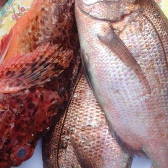 Hotel Au Nom De Dieu