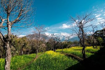 Hotel Ketav's Ayush Health Paradise