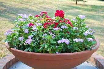 Bed & Breakfast La Casina Di Croxe